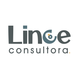 Lince Consultora